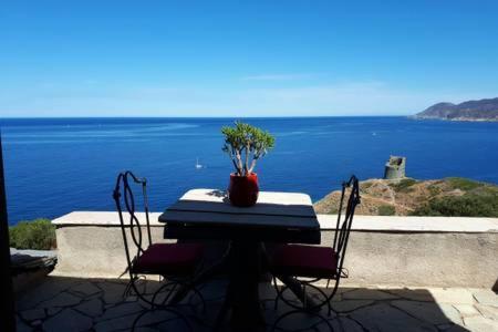 Coin De Paradis Vue Dominante Sur Mer, Montagne Et Tour Genoise Avec Jacuzzi Pino Exterior foto